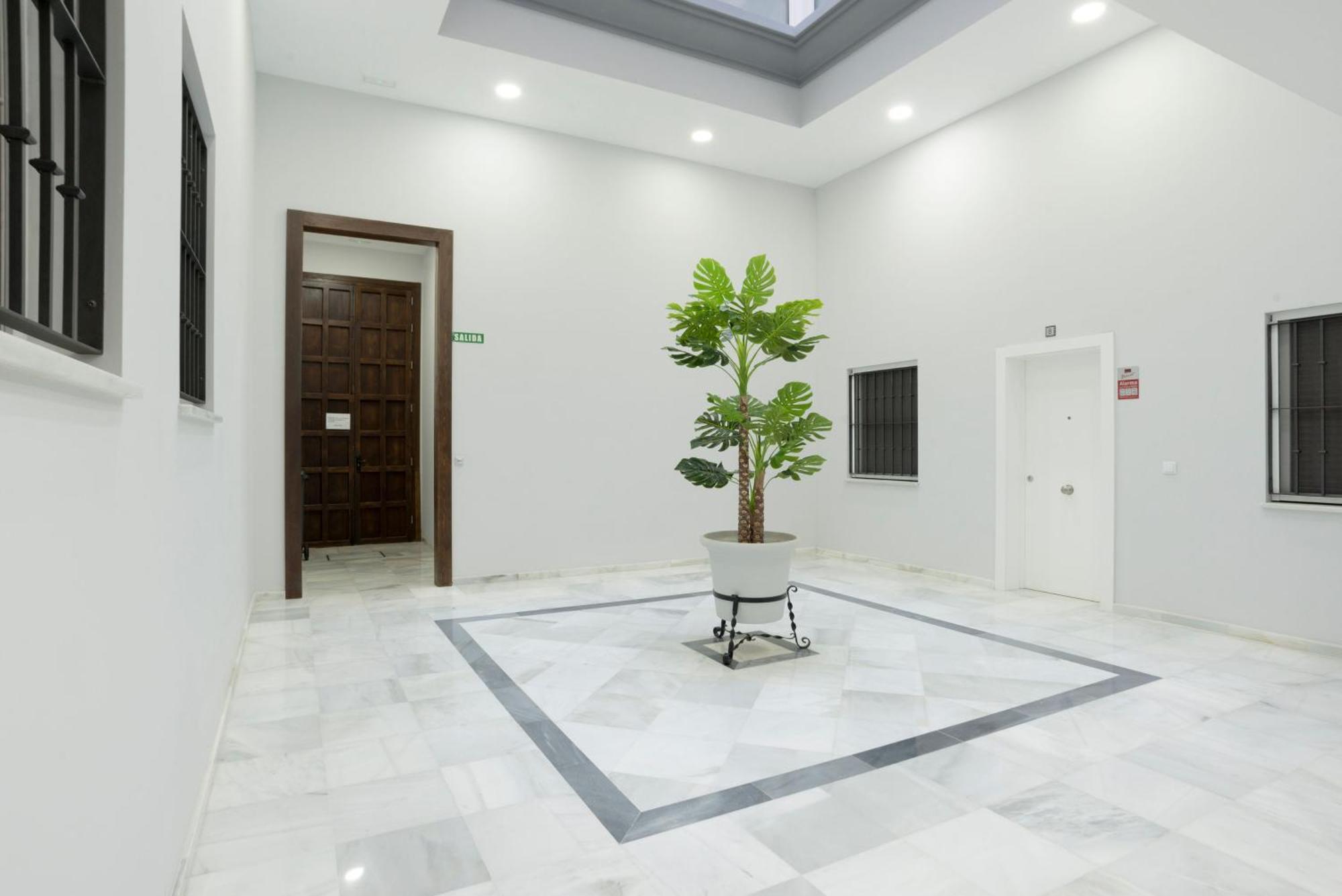 Apartamento Centro Deluxe Cadiz Ngoại thất bức ảnh